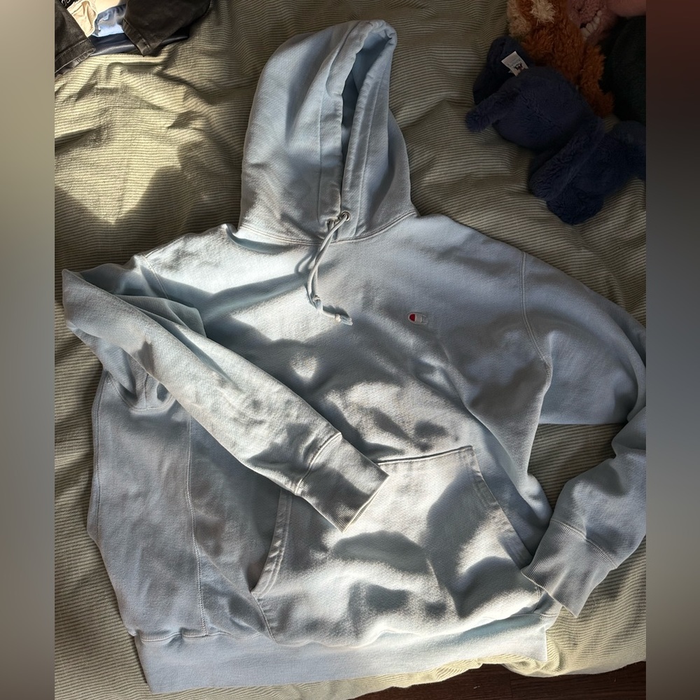 CHAMPION reverse weave hoodie